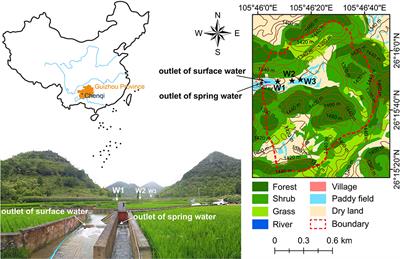 Hydrogeochemical Dynamics and Response of Karst Catchment to Rainstorms in a Critical Zone Observatory (CZO), Southwest China